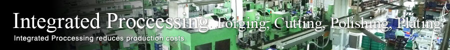 Integrated Proccessing Integrated Proccessing reduces production costs.