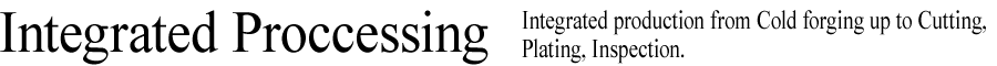 Integrated Proccessing Integrated production from Cold forging up to Cutting,Plating,Inspection.